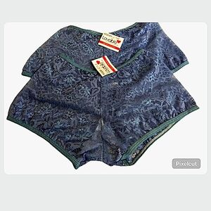 Lacy Blue High-Waisted Briefs
